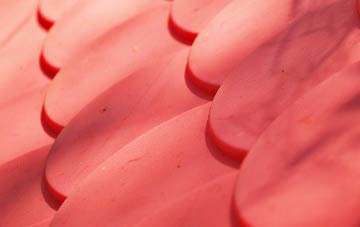 Shepway plastic roof costs