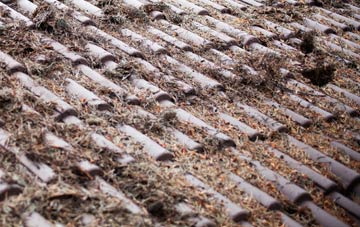 Shepway roof cleaning companies